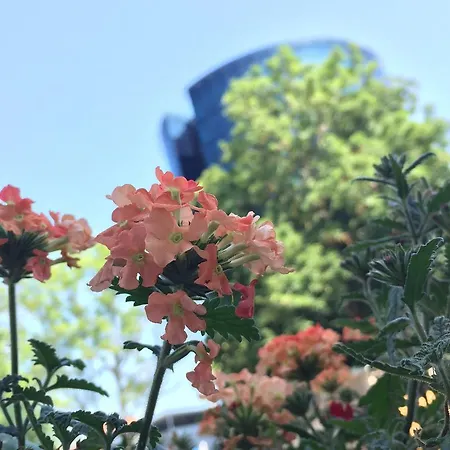 Lauteri Apart Inn Free Parking Self Check-In 24H * Tallinn